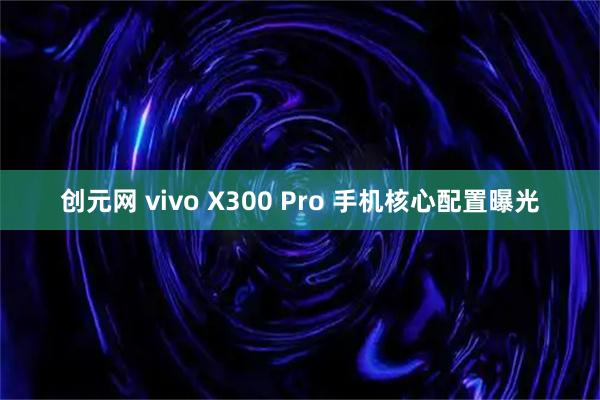 创元网 vivo X300 Pro 手机核心配置曝光