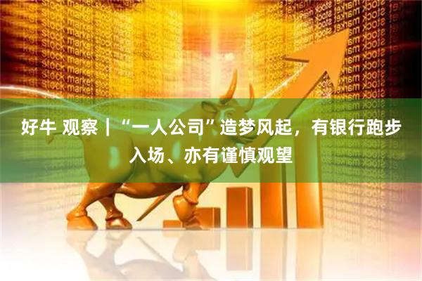 好牛 观察｜“一人公司”造梦风起，有银行跑步入场、亦有谨慎观望