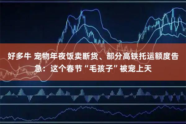 好多牛 宠物年夜饭卖断货、部分高铁托运额度告急：这个春节“毛孩子”被宠上天